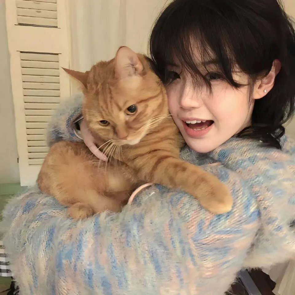 林婉儿